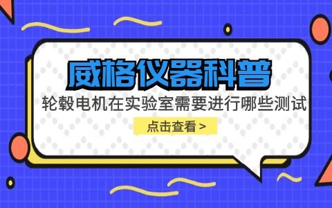 威格儀器-輪轂電機在實驗室需要進(jìn)行哪些測試插圖